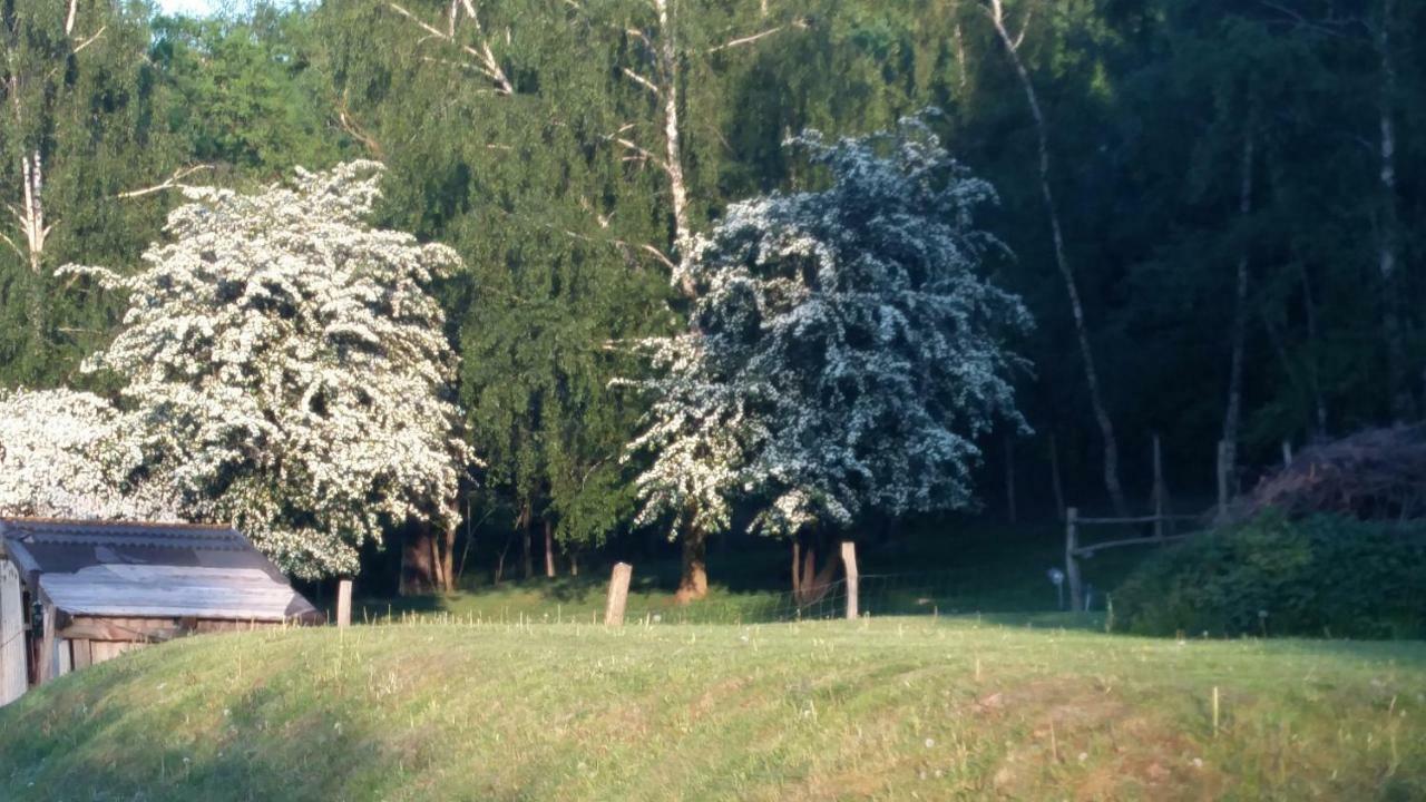Zimmervermietung Am Holzberg Thallwitz Ngoại thất bức ảnh